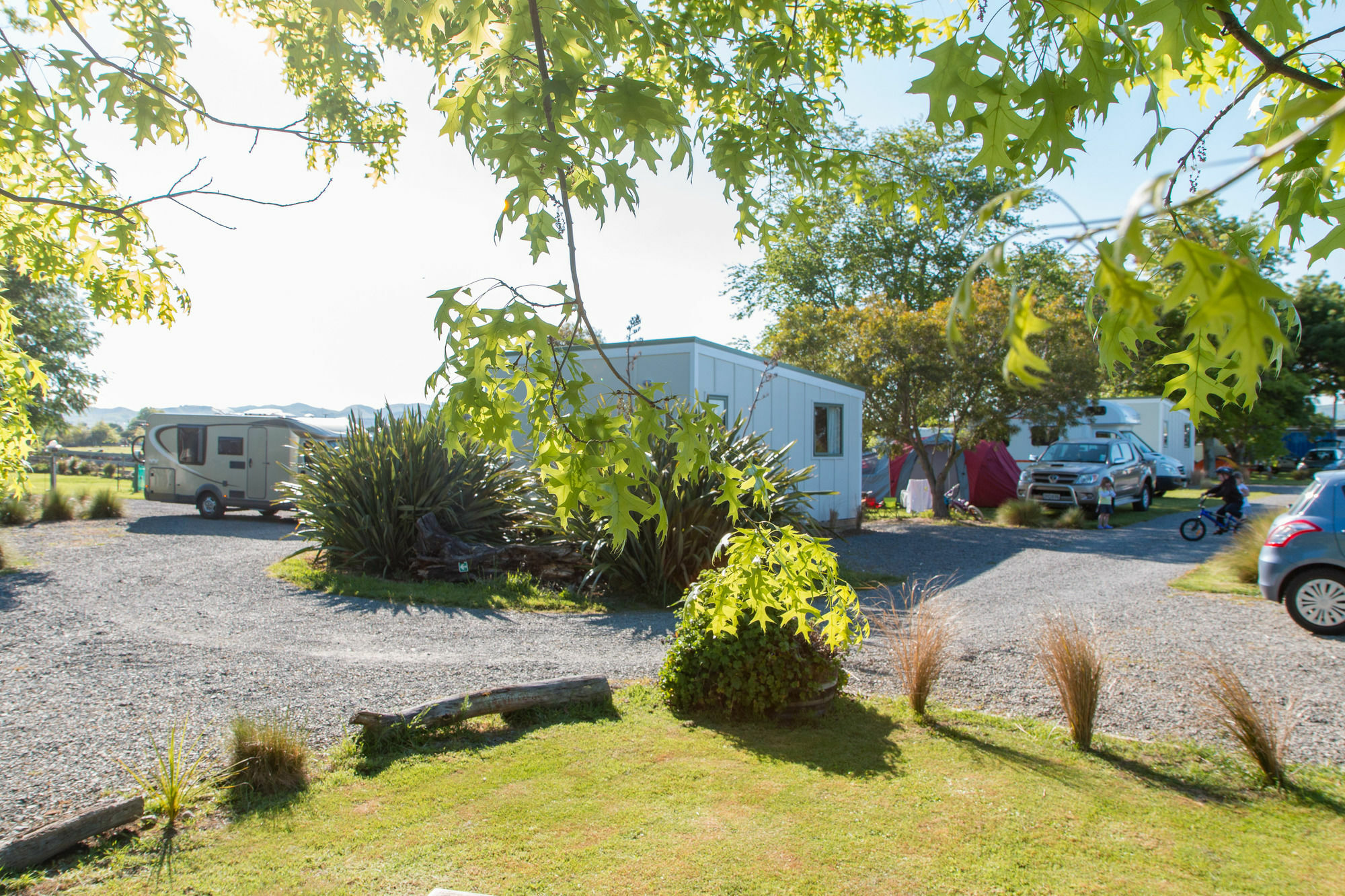 Martinborough Top 10 Holiday Park Екстериор снимка